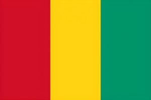 Guinea Flag: National Flag of Guinea Free Download