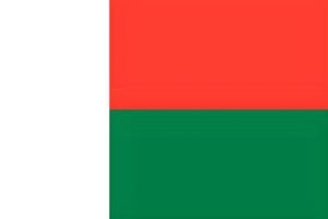 Madagascar Flag: National Flag of Madagascar Free Download